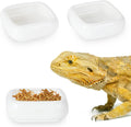 Ceramic Reptile Food Bowls, Reptile Water Food Dish (White, Medium-2Pack)