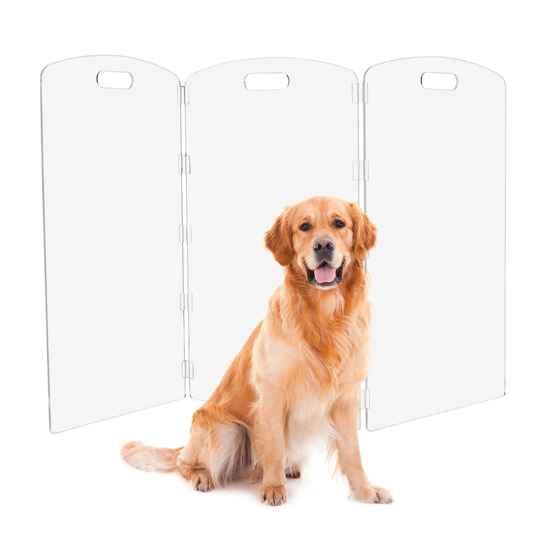 Modern Frame Clear Acrylic Freestanding Dog Gate - 32