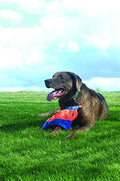 Small Flying Squirrel Dog Toy