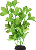Underwater Treasures Silk Bacopa Monnieri - 8"