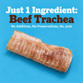Beef Trachea For Dogs, Trachea Dog Chews, Natural Dog Chews 6 inch 20 pack