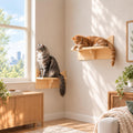 Cat Wall Shelves, 2-Piece Cat Wall Step for Large Cats