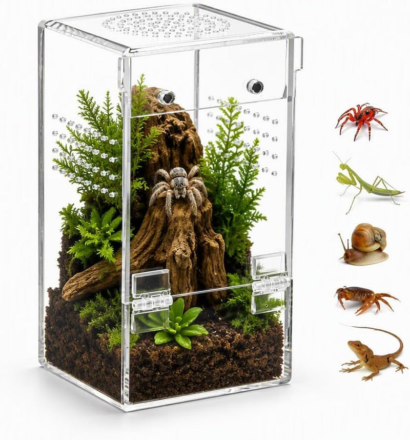 Jumping Spider Enclosure,Clear Acrylic,Pre-Assembled,3x3x5.9inch
