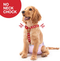 Pet Soft Dog Suspenders 2 Pieces Female Dog Diaper Suspenders for Dogs Diaper Keeper Suspender for Dogs Skirt, Dress, Di