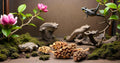Galapagos (05159) Magnolia Seed Pods for Natural Bioactive Terrariums Provides shelter and Food for microfauna 2-4 inch 