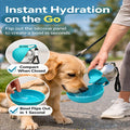 2 in 1 Portable Tumbler for Dogs, 2026 New 10Oz Stainless Steel Dog Water Bottle with Silicone Foldable Bowl, Leak-Proof 2 in 1 Portable Small Dog Water Bottle