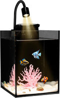Desktop Aquarium Mini Tank Kit, 1.2 Gallon Rimless Cube with Filter, LED Spotlight, Black Background, Glass Construction