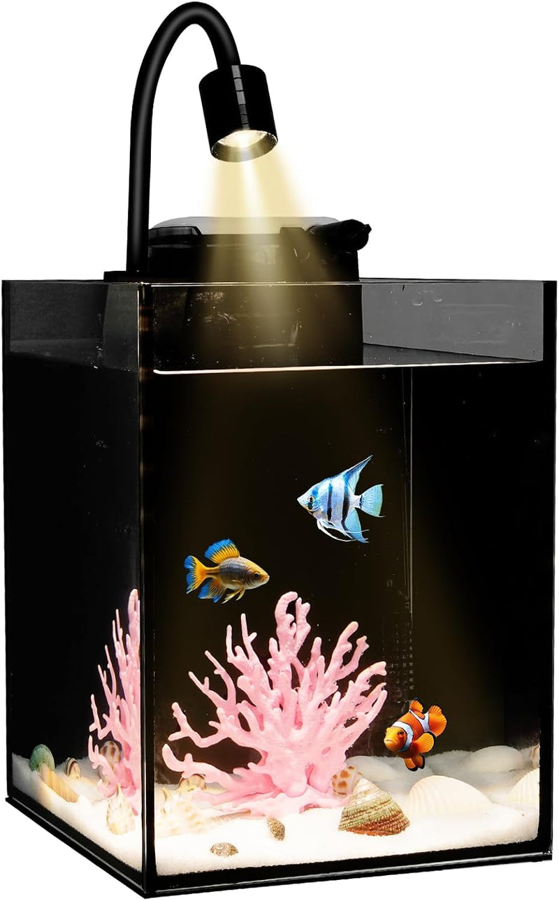 Desktop Aquarium Mini Tank Kit, 1.2 Gallon Rimless Cube with Filter, LED Spotlight, Black Background, Glass Construction