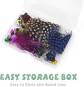 SONGWAY Insect Cat Toys with Feather - 6 Pieces Cat Insect Feather Toy Refills, Teaser Wand Attachments, Interactive Toy