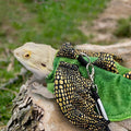 Bearded Dragon Harness Leash Set, Dinosaur Cosplay Halloween Pet Costume for Bearded Dragon Reptiles (Small)