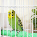 2PCS Bird Beak Grinding Stones, Bird Toys, Beak Grinder for Birds, Budgies, Conures, Parakeets, and Other Small to Mediu