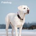 Reflective Martingale Collar for Dogs with Quick Release Buckle No Pull Training Dog Collars