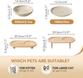 Havniva Cat Bowls Elevated 5.6” Ceramic Cat Bowl with Stand Whisker Friendly Shallow Cat Dishes, Cat Food & Water Bowl Set with Two Heights Options, Anti-Slip Raised Cat Food Bowl for Kitten