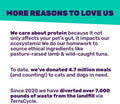 I AND LOVE AND YOU Feed Meow Tummy Wet Cat Food, Tuna & Pumpkin | 12 Pk