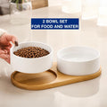 Ceramic Small Dog and Cat Bowls-Set of 2 Pet Dishes with Non-Slip Wood Tray