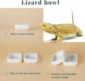 Ceramic Reptile Food Bowls, Reptile Water Food Dish (White, Medium-2Pack)