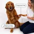 Goldie Dog Essentials Probiotic Dog Wipes Hypoallergenic Sensitive Skin