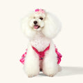 CuteBone One Piece Dog Bikini Swimsuit Dress - Puppy Bathing Suit Costume for Small Dogs - Comfortable & Stylish Pet Clothes for Summer Pool, Beach & Play LTDB01S