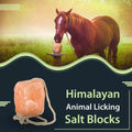 Premium Himalayan Horse Salt Lick 4 Pack 5-6 lbs Each Treat Block | Equine Mineral Salt Block with 36" Rope | Treats for