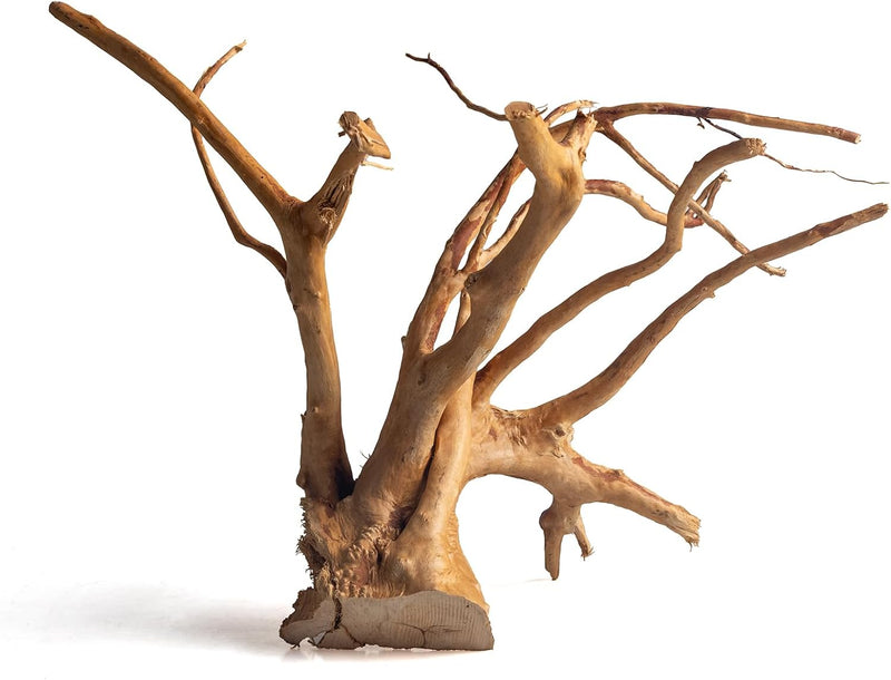 emours Driftwood for Aquarium, Large Tall Natural Aquarium Wood for Fish Tank Decor, 12-18 Inch (30-45 cm) Driftwood for