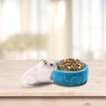 kathson 2 Pcs Hamster Food Bowl Guinea Pig Ceramic Water Bowl Small Animal Feeding Dish for Dwarf Hamster Gerbil Syrian 