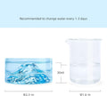 Niteangel Hamster Feeding & Water Bowl- 50ml Capacity & No Wet Fur for Pet