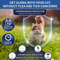 4 Pack Flea Collar for Cats, 32 Months Flea and Tick Prevention for Cat, Waterproof & Natural Cat Flea and Tick Treatment, Adjustable for Cats Kittens(Blue&Pink)