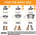 Neater Pet Brands Stainless Steel Slow Feed Dog Bowl for Fast Eating Small Breeds, Metal Slow Feeder Dog Bowl Fits in Cat & Small Neater Feeders, for Puppy or Dogs (< 15 lbs), 3/4 Cup Food Capacity
