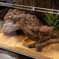 Reptile Hide Bearded Dragon Cave Hideouts Habitat Décor for Snake (Large)