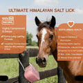 Compressed Himalayan Salt Lick 6 lbs, Big Block, Licking Salt for Horses, Deer Salt Lick Block, Block Salt on Rope, Hima