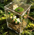Handmade Natural Walnut Shell Jumping Spider Hide - Magnetic Spider Enclosure Accessories with Sturdy Neodymium Magnets,