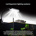 2.8 Gallon Glass Fish Tank,Small Fish Tank with Light and Filter