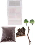 OMEM Reptile Breeding Box, Insect Incubator, for Orchid Mantis, African Phantom Mantis, Reptile Resting Habitat and Ente