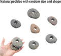 6 Pcs Natural River Stone Plant Weights for Aquarium, Pebble Aquatic Plants Fixed Ring, Aquarium Plant Anchors, Unique S