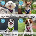 Gooby Comfort X Step-in Lite Harness, Choke-Free, Blue, Medium