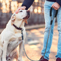 MayPaw Heavy Duty Rope Dog Leash, 3/4/6/7/8/10/12/15/20/30 FT Nylon Pet Leash, Soft Padded Handle Thick Lead Leashes for Large Medium Dogs (Black, 1/2" * 6')