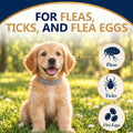Flea Collar for Dogs, Flea and Tick Collar for Small Dogs, 2 Pcs