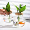 Small Fish Bowl, Cute Betta Tank, High Clear Fish Glass Bowl, Desktop Mini Aquarium Vases for Betta Fish and Hydroponic 