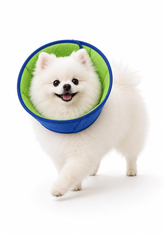 Babday Dog Recovery Collar for Dogs After Surgery – Soft Breathable Dog Cone Collar, Lightweight Elizabethan Collar Alternative for Wound Healing, Anti Licking, Comfortable Sleep & Daily Eating,S