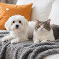 2 Pack Cat Blanket for Small Dogs Puppy Cat Kitten, 16" x 24"