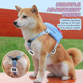 Dog Backpack Harness with Leash,Cute Pet Puppy Backpacks Bulid-in Dog Poop Bag Dispenser,Adjustable Pets Self Carrier Ba