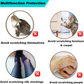 VICTHY 100pcs Cat Nail Caps Clear Cat Claw Covers Kitten Nail Caps with Adhesives and Applicators (M Clear)