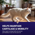 Vetoquinol Flexadin - Joint Support for Cats of Any Size - Healthy Hip & Mobility Support for Comfortable Movement - Tasty Daily Chew with Beef Flavor - 30 Count Bag