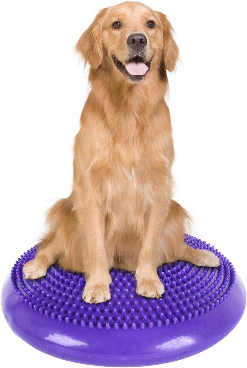 Dog Balance Disc 14