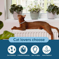 Flea Collar for Cats, Cat Flea Collar, Kitten Flea Collar, Flea and Tick Collars for Cats, Adjustable Cat Tick Collar wi