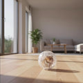 White-Transparent Plastic Silent Dwarf Hamster Ball, 1Pc, for Small Animals
