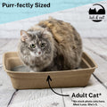 Luli & Cat Disposable Litter Boxes for Cats | Large Sized 4-Pack | Durable and Water Resistant