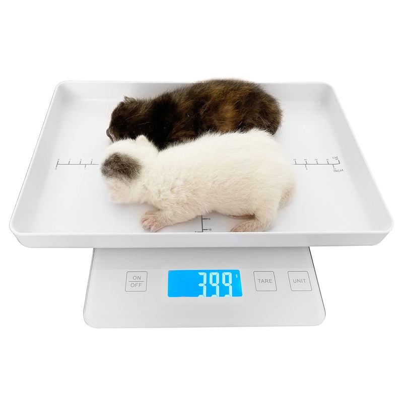 Digital Pet Scale for Small Animal, Whelping Scale,Mini Precision Gram Weight Balance Scale, High Precision 1g, Suitable