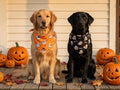 Halloween Dog Bandanas Cute Ghost Reversible Pet Outfit 2PCS
