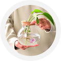 Small Fish Bowl, Cute Betta Tank, High Clear Fish Glass Bowl, Desktop Mini Aquarium Vases for Betta Fish and Hydroponic 